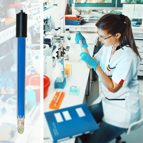 female scientist working in the laboratory
