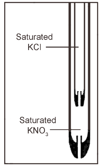 Double junction reference electrode