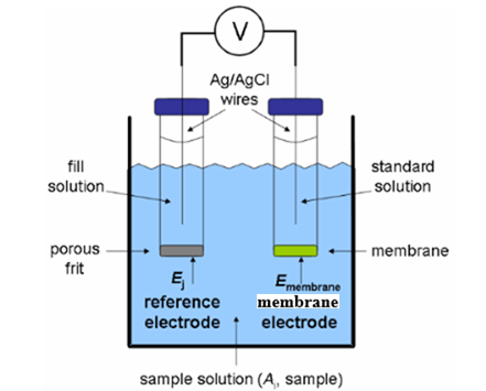 components of an ion selective electrode