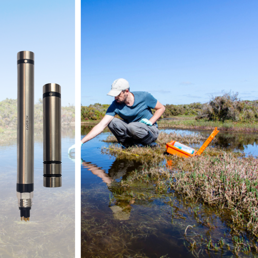 Blue Green Algae in Environmental Monitoring