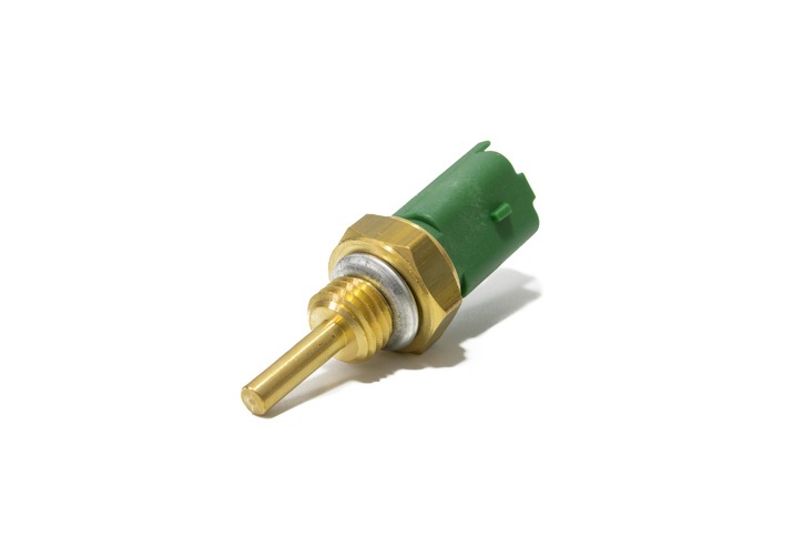 RTD Sensors are one of the most common temperature sensor types